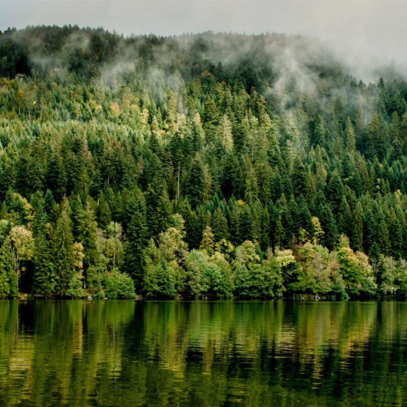 6 bonnes raisons de partir &agrave; la montagne La Bresse