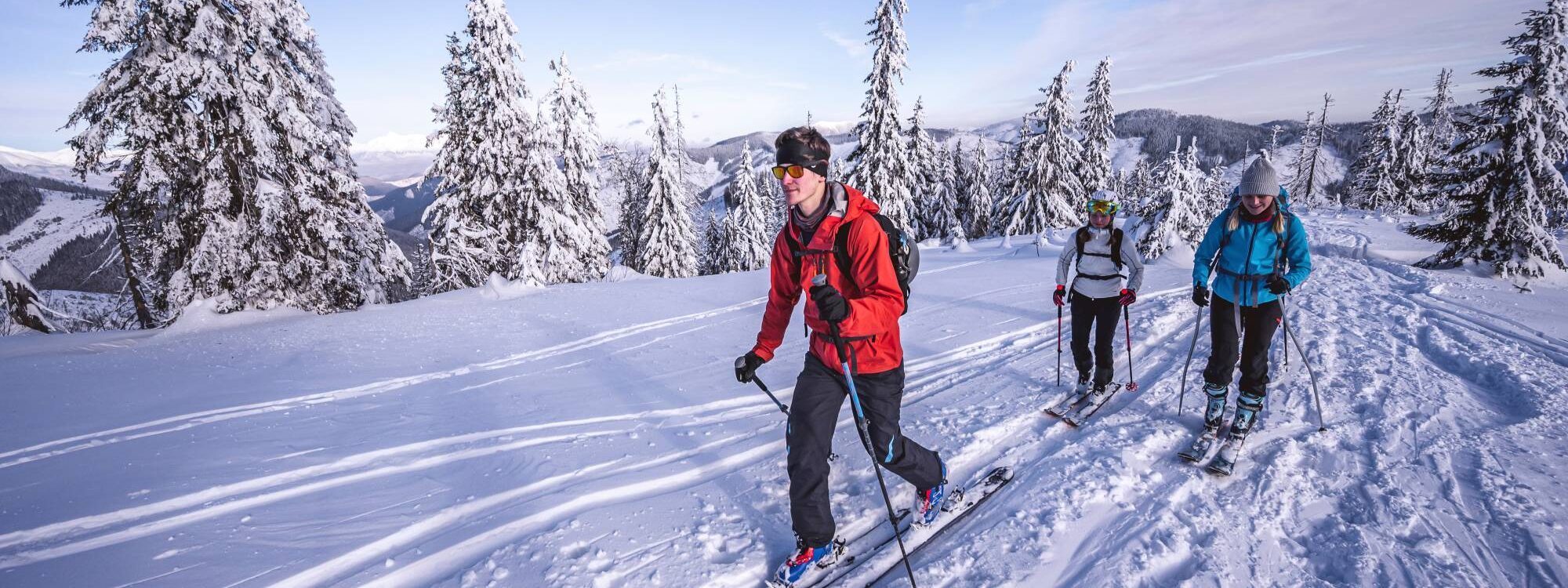 GERARDMER 2000X750 | A la fontaine fleurie Pourquoi passer Noël dans une chambre d’hôte dans les montagnes vosgiennes ? Baccarat
