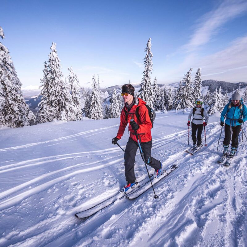 Pourquoi passer No&euml;l dans une chambre d’h&ocirc;te dans les montagnes vosgiennes ? Baccarat